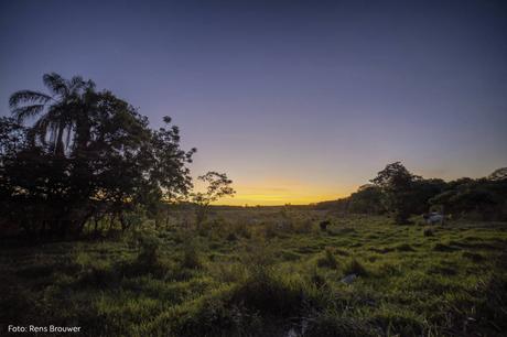Facultad de Ciencias publican en Science estudio sobre recuperación natural de bosques tropicales Facultad de Ciencias publican en Science estudio sobre recuperación natural de bosques tropicales