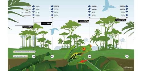 Facultad de Ciencias publican en Science estudio sobre recuperación natural de bosques tropicales Facultad de Ciencias publican en Science estudio sobre recuperación natural de bosques tropicales