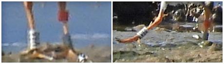 Chirlitejos grande con anilla