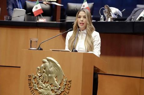 Senadora Ruth González Silva propone seguro escolar obligatorio en México