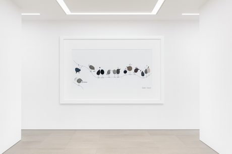 Piedras que vuelan. Piedras que vuelan.