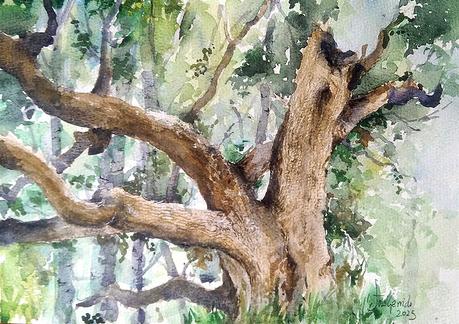 Acuarelas septiembre 2025