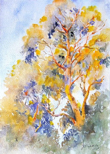 Acuarelas septiembre 2025