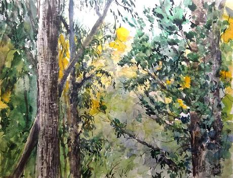 Acuarelas septiembre 2025