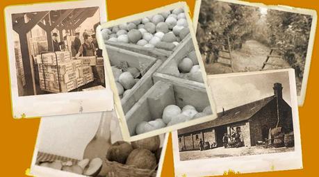 Magners vs Bulmers: la sidra irlandesa con doble identidad Sidras Magners y Bulmers