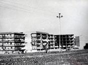 Calle 1973