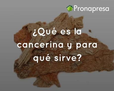 ¿Qué es la cancerina y para qué sirve?