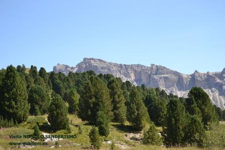 Seceda y Ortisei Seceda y Ortisei
