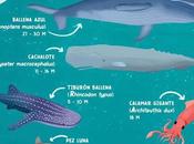 Biología Marina Sábado Ciencia