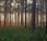 mejores cosas para hacer Lake City (FL)