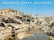 Tigre Diamante estrena Palomas entre Halcones Tania Pereira