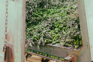 Previsión meteorológica para este domingo en Castilla-La Mancha: cielos poco nubosos y máximas en descenso