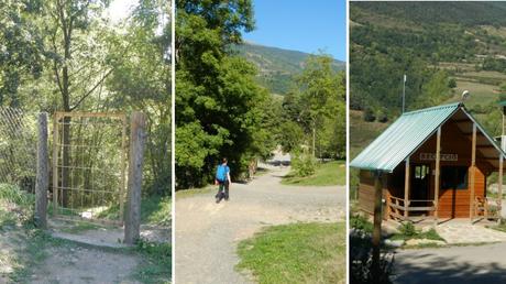 Camí del Bosc: el sendero secreto por el bosque del Camping Vall de Ribes hasta Ribes de Freser | Ripollès Camí del Bosc: el sendero secreto por el bosque del Camping Vall de Ribes hasta Ribes de Freser | Ripollès
