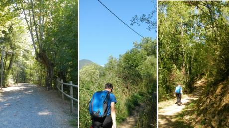 Camí del Bosc: el sendero secreto por el bosque del Camping Vall de Ribes hasta Ribes de Freser | Ripollès Camí del Bosc: el sendero secreto por el bosque del Camping Vall de Ribes hasta Ribes de Freser | Ripollès