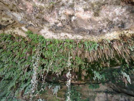 Excursión al Salt de Can Rimundet desde Sant Joan Samora: naturaleza, viñedos e historia romana en el Alt Penedès