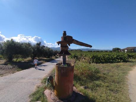 Excursión al Salt de Can Rimundet desde Sant Joan Samora: naturaleza, viñedos e historia romana en el Alt Penedès