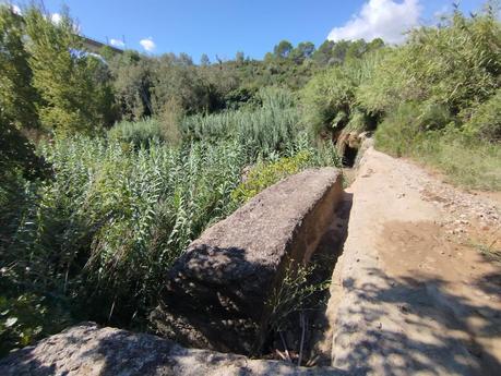 Excursión al Salt de Can Rimundet desde Sant Joan Samora: naturaleza, viñedos e historia romana en el Alt Penedès
