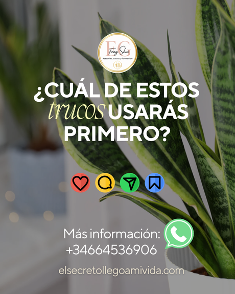 ✨2026 año de Caballo de Fuego se presenta como un año muy Yang donde todos nos vamos a ver afectados por una energía fuerte que nos impulsará.