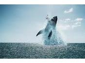 Cinecritica: Demonio Negro