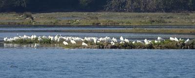 DOS BANDOS Y DOS INDIVIDUOS