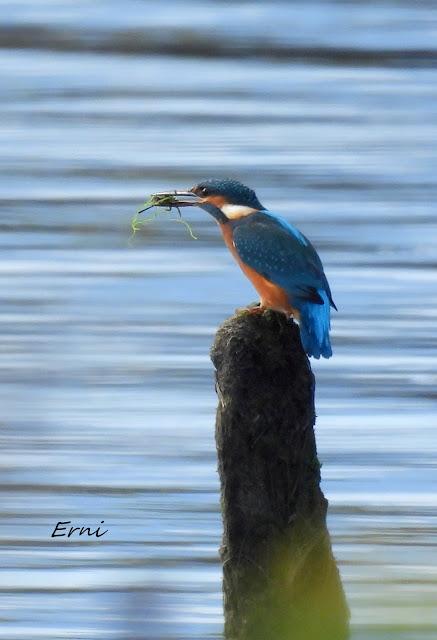 DOS BANDOS Y DOS INDIVIDUOS