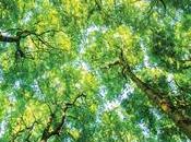 centro distribución Schneider Electric Évreux sido reconocido como Sustainability Lighthouse Foro Económico Mundial