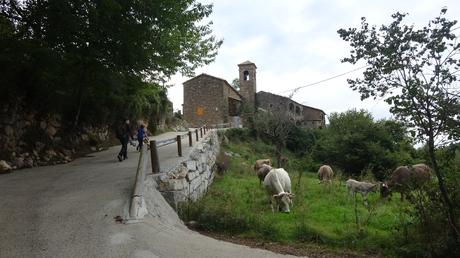 Ruta circular al Santuari de Corbera desde Espinalbet | El Berguedà