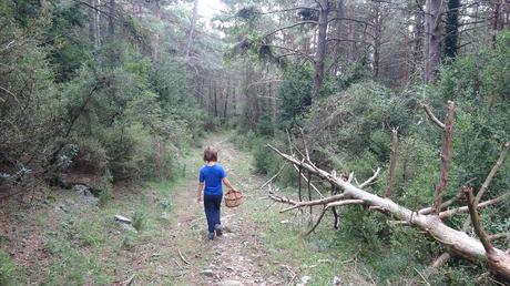 Ruta circular al Santuari de Corbera desde Espinalbet | El Berguedà