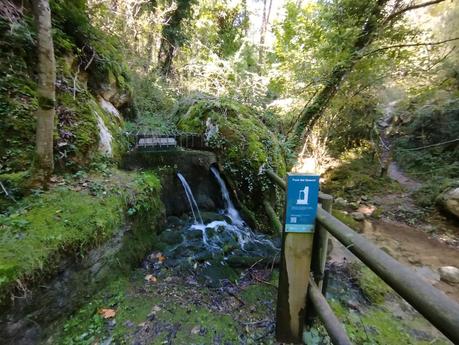Ruta circular por las fuentes de la Riera de Metge y el Roc de l’Alou cerca de Berga | El Berguedà