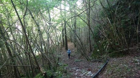 Ruta circular por las fuentes de la Riera de Metge y el Roc de l’Alou cerca de Berga | El Berguedà