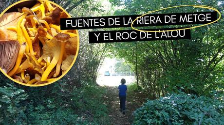 Ruta circular por las fuentes de la Riera de Metge y el Roc de l’Alou cerca de Berga | El Berguedà