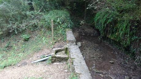 Ruta circular por las fuentes de la Riera de Metge y el Roc de l’Alou cerca de Berga | El Berguedà