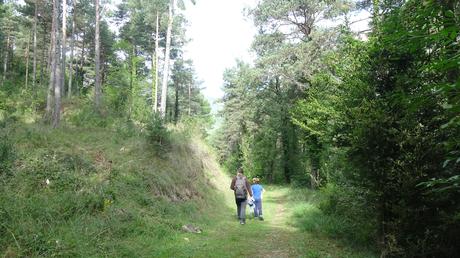Ruta circular por las fuentes de la Riera de Metge y el Roc de l’Alou cerca de Berga | El Berguedà