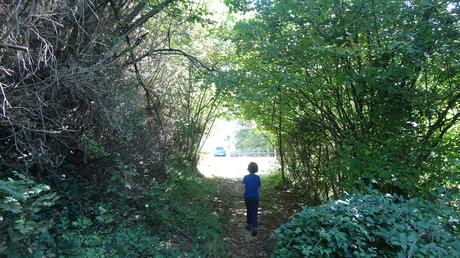 Ruta circular por las fuentes de la Riera de Metge y el Roc de l’Alou cerca de Berga | El Berguedà