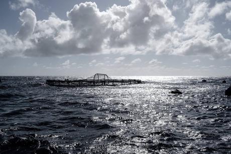 La sostenibilidad en la hostelería será premiada en Madrid Fusión