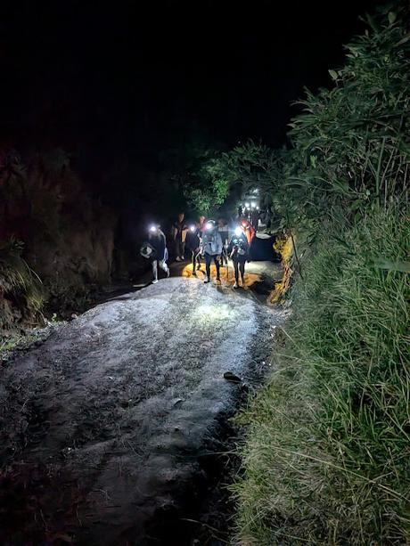 Tour de 3 días: Bromo & Ijen (día 3) Tour de 3 días: Bromo & Ijen (día 3)