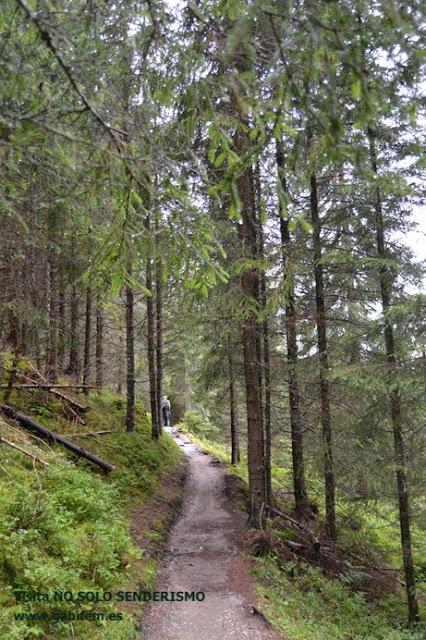 Refugio Odle - Geisleralm Refugio Odle - Geisleralm