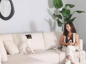 Galerías Tresillo presenta primer modelo resistente mascotas, ventajas exclusivas