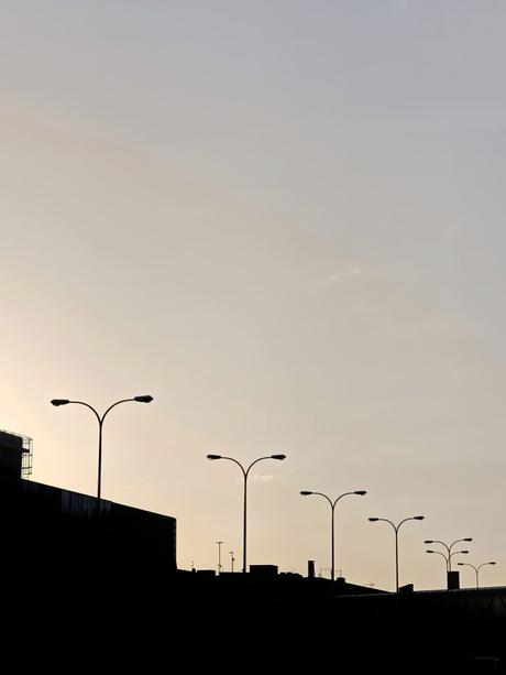 Bosque de Metal – Fotografía creativa móvil en Barakaldo | Ibarakaldo