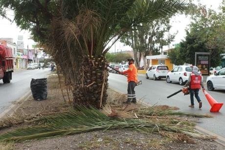 Programas comunitarios mantienen presencia activa en la colonia Providencia