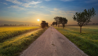 De la hojita del calendario.