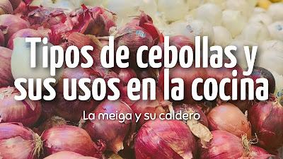 Tipos de cebolla y sus usos en la cocina Tipos de cebolla y sus usos en la cocina