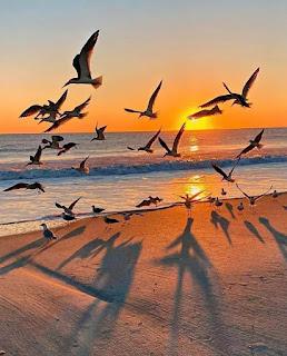 6.350 - UN NUEVO DÍA... 6.350 - UN NUEVO DÍA...