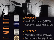 noviembre: Mardel Prog 2025 Encuentro Música Progresiva