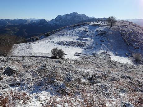 La Bárgana-Picu Tresconceyos-Tarrucio