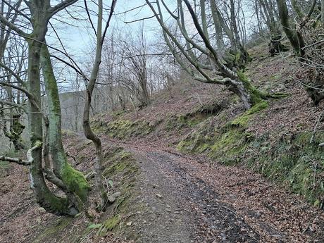 La Bárgana-Picu Tresconceyos-Tarrucio