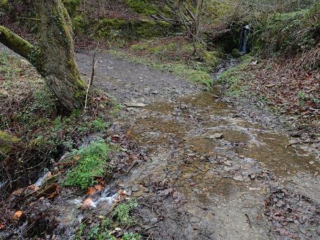 La Bárgana-Picu Tresconceyos-Tarrucio