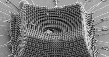 Por dentro del exoesqueleto de grafeno 2