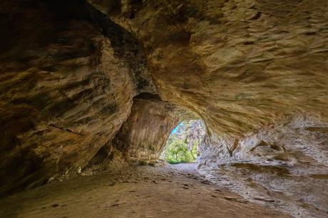 Il Venerdí di Photosatriani N.544