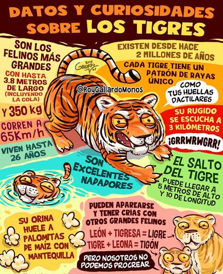 Tigres